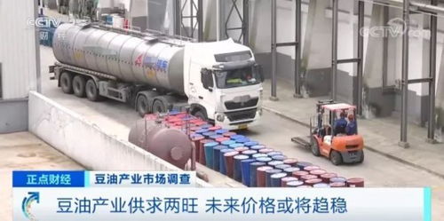 大豆油價格飆升20% 加工廠年營業額預增50%，國內貿易代理面臨機遇與挑戰